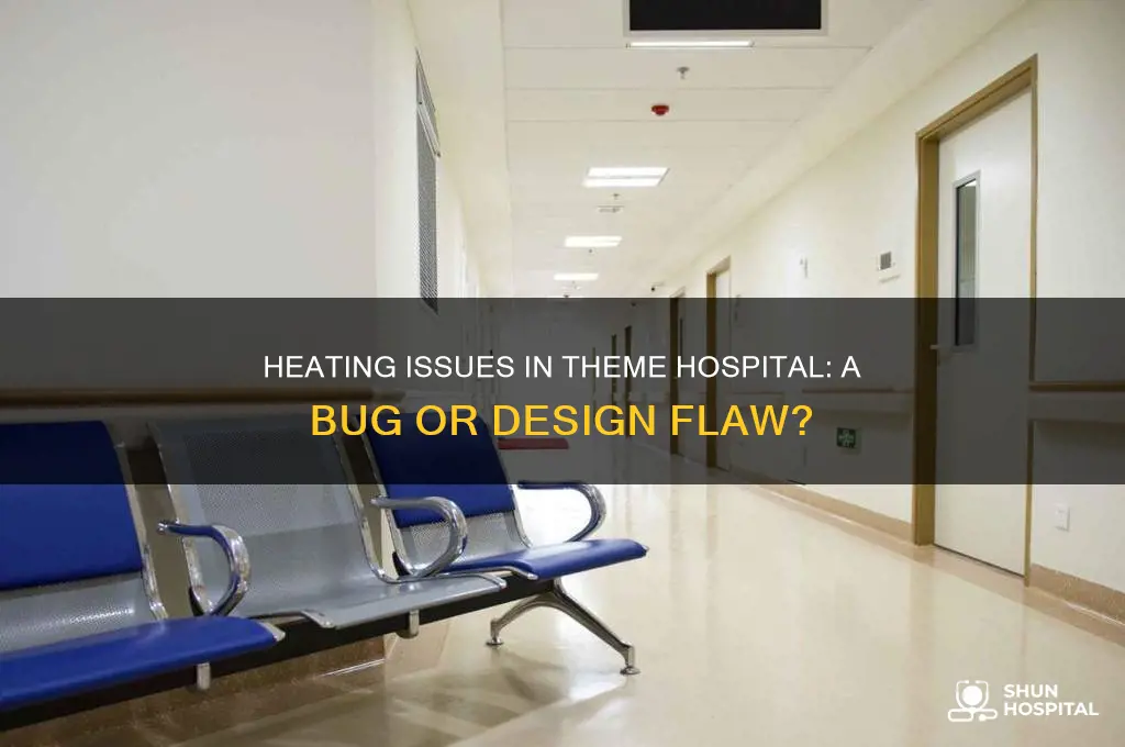 is heating bugged theme hospital