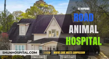 Is Hopkins Road Animal Hospital the Right Choice for Your Pet?