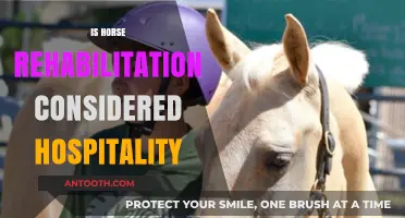 Horse Rehabilitation: A Unique Blend of Care and Hospitality?