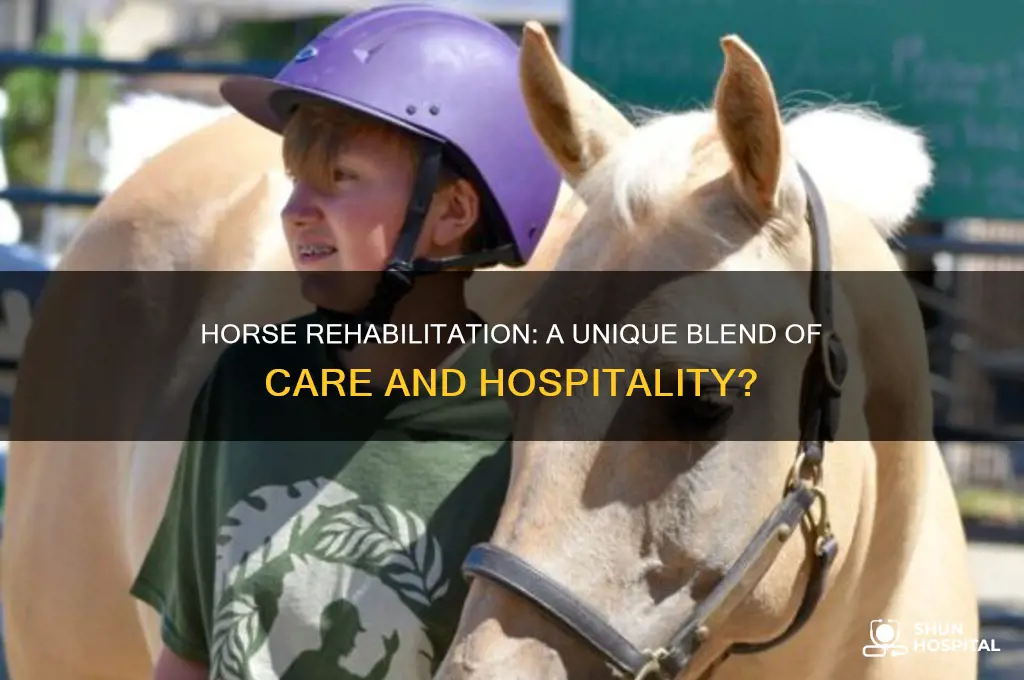 is horse rehabilitation considered hospitality