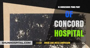 Concord Hospital's Horseshoe Pond: What's the Link?