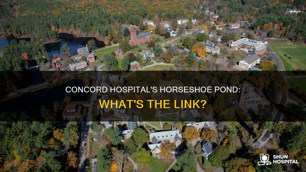 is horseshoe pond part of concord hospital