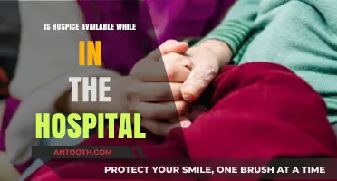 Hospice Care: Available in Hospitals?