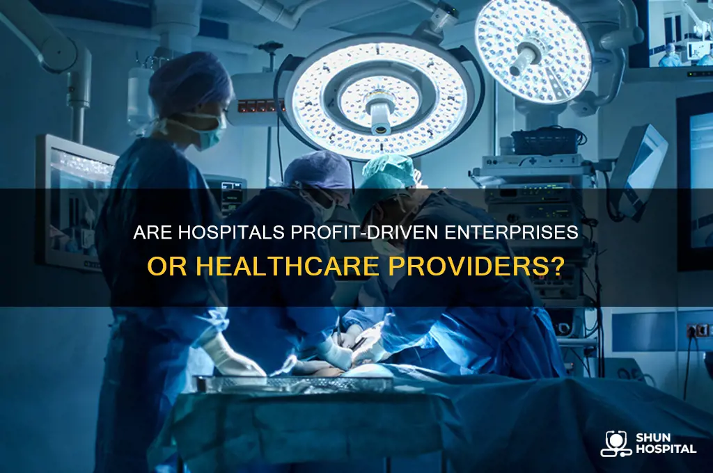 is hospital a business