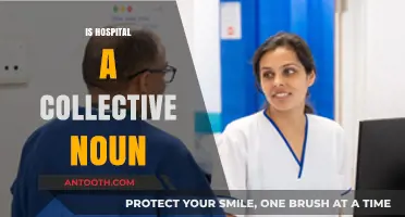 Is 'Hospital' a Collective Noun? Unraveling Grammar Mysteries