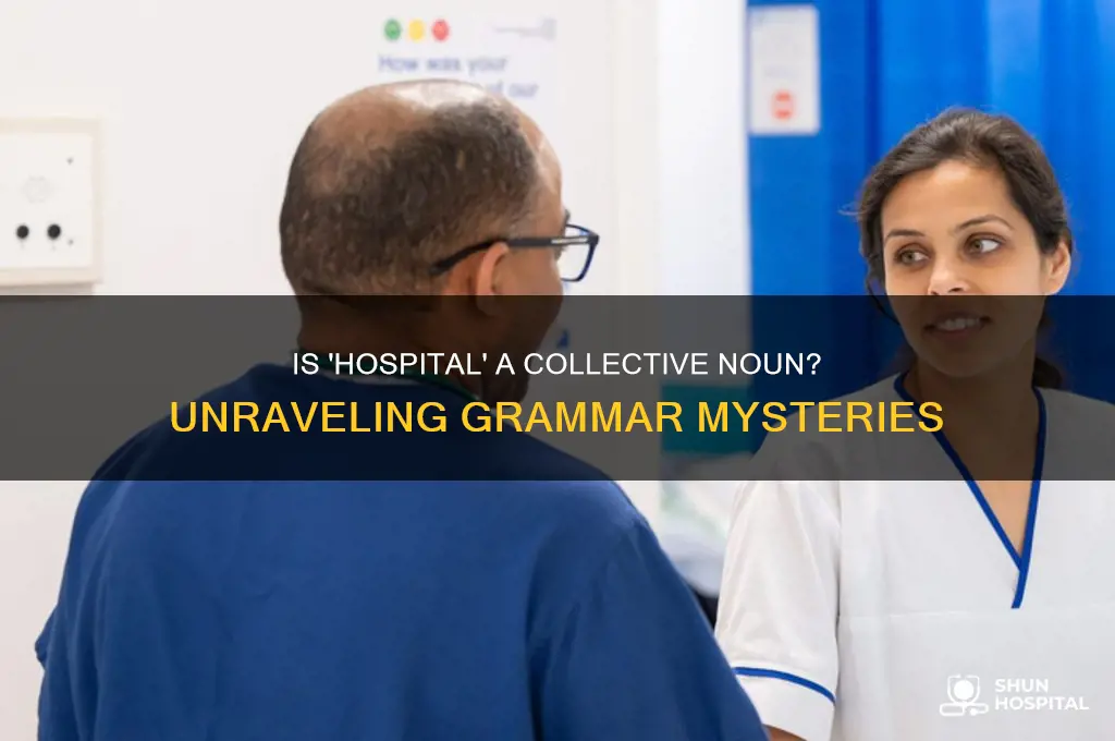 is hospital a collective noun
