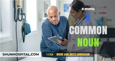 Is Hospital a Common Noun? Exploring Grammar and Usage in Context