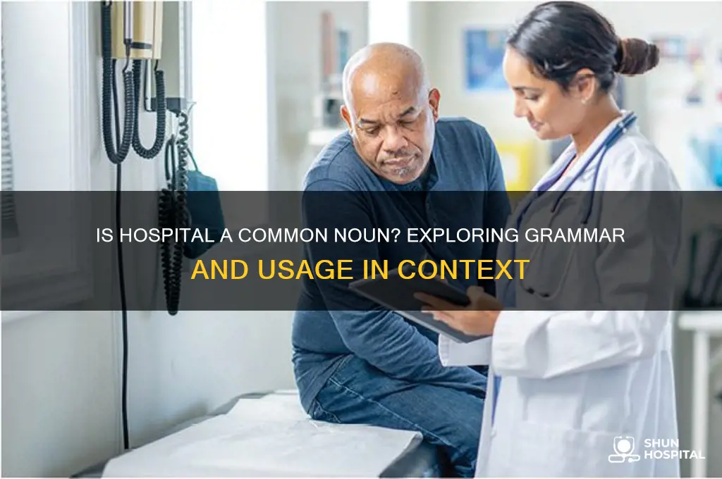 is hospital a common noun