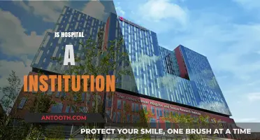 Are Hospitals Institutions? Exploring Their Role and Structure in Healthcare
