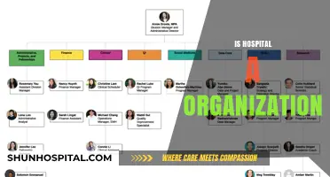 Understanding Hospitals: Are They Truly Organizational Structures or Something More?