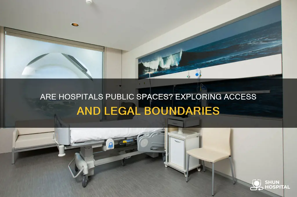 is hospital a public place