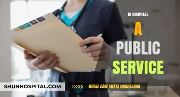Are Hospitals Public Services? Exploring Healthcare Access and Ownership
