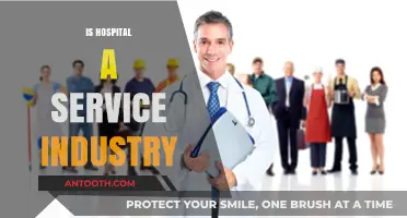 Hospitals as Service Providers: Exploring the Healthcare Industry's Role