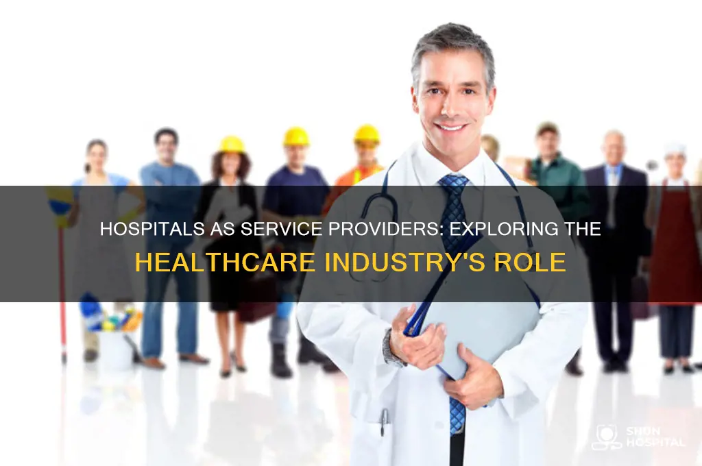 is hospital a service industry