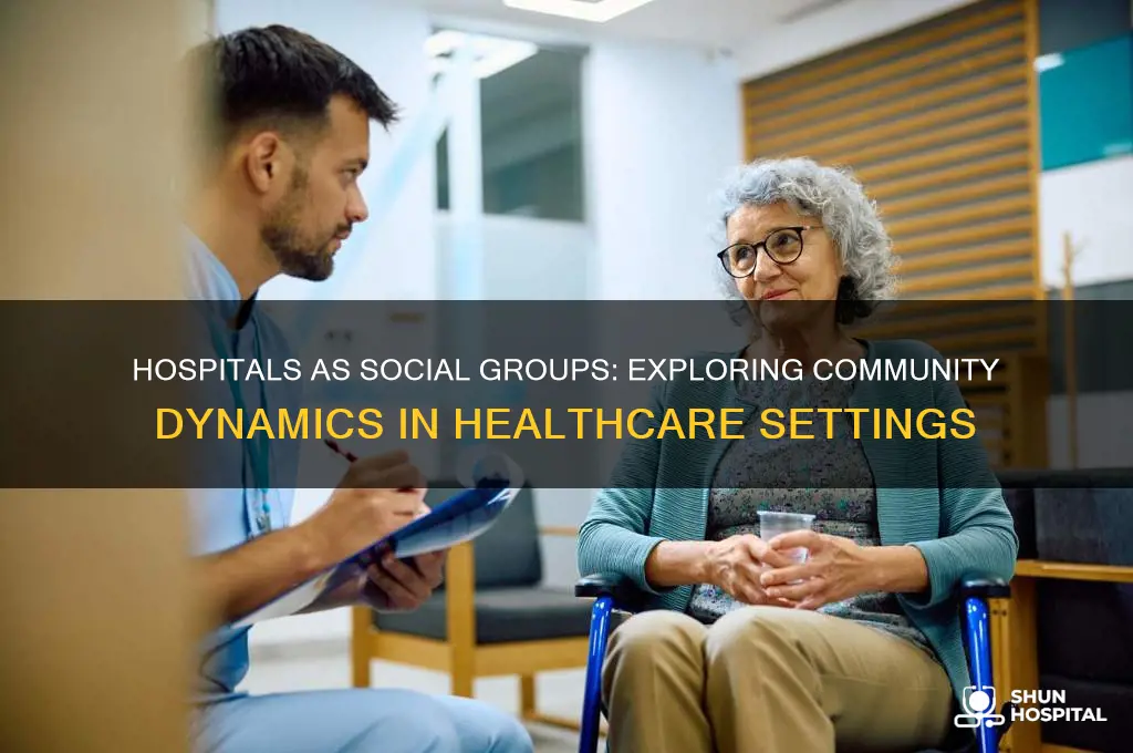 is hospital a social group
