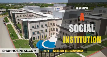 Hospitals as Social Institutions: Roles, Impacts, and Community Connections