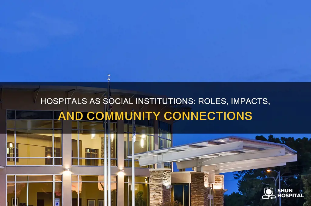 is hospital a social institution