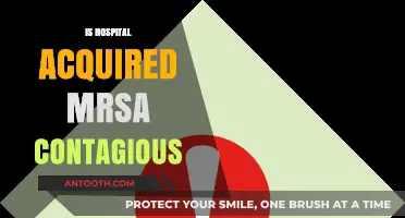 Is Hospital-Acquired MRSA Contagious? Understanding Transmission Risks