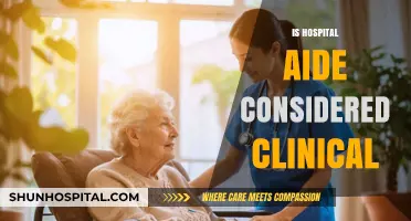 Is Hospital Aide a Clinical Role? Exploring Responsibilities and Classification