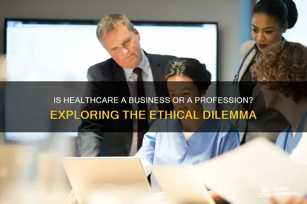 is hospital business or profession