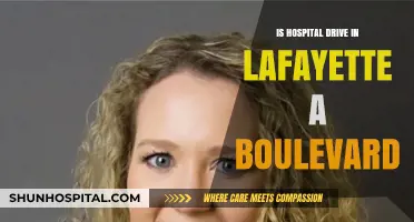 Exploring Lafayette's Hospital Drive: Boulevard or Not?