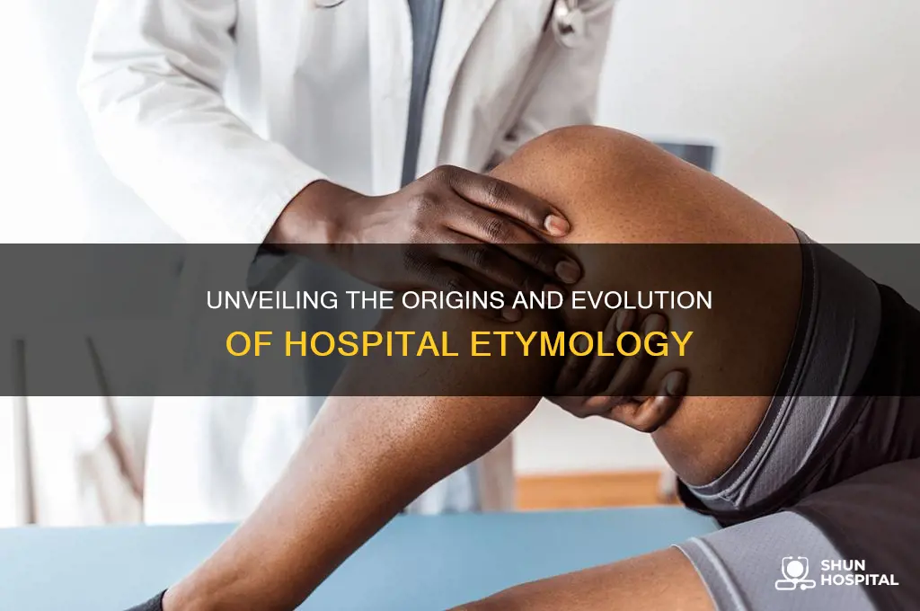 is hospital etomology