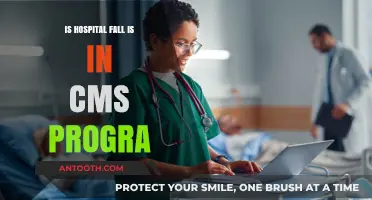Fall Prevention: CMS's Priority Program