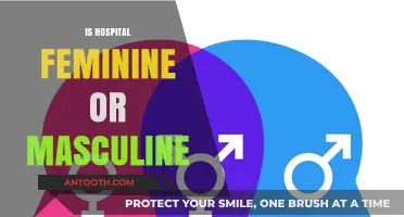 Is 'Hospital' Feminine or Masculine? Decoding Gender in Language