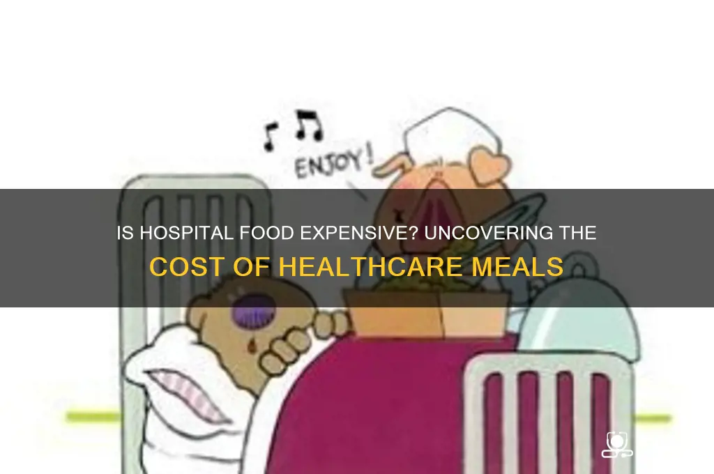 is hospital food expensive