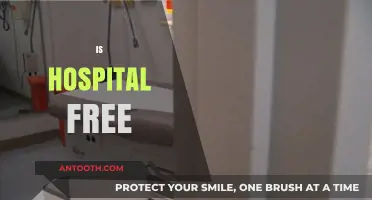 Are Hospitals Free? Exploring Healthcare Costs and Accessibility
