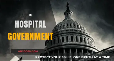 Is Hospital Government Involvement Benefiting or Hindering Healthcare?