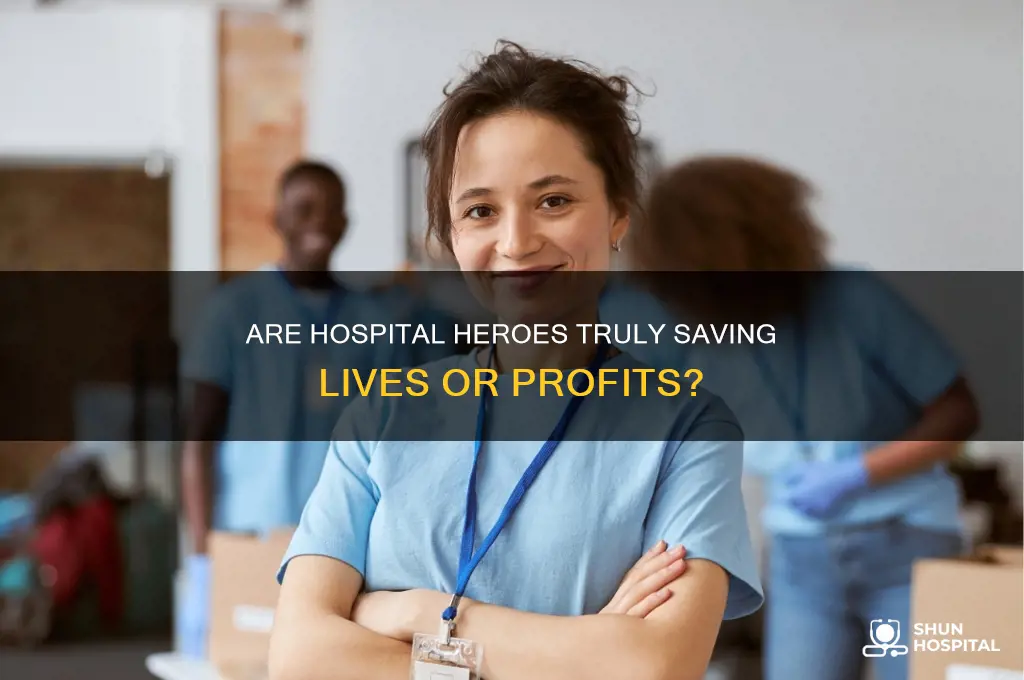 is hospital heros for profit