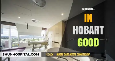 Exploring Hobart's Healthcare: Are Its Hospitals Truly Reliable and Efficient?