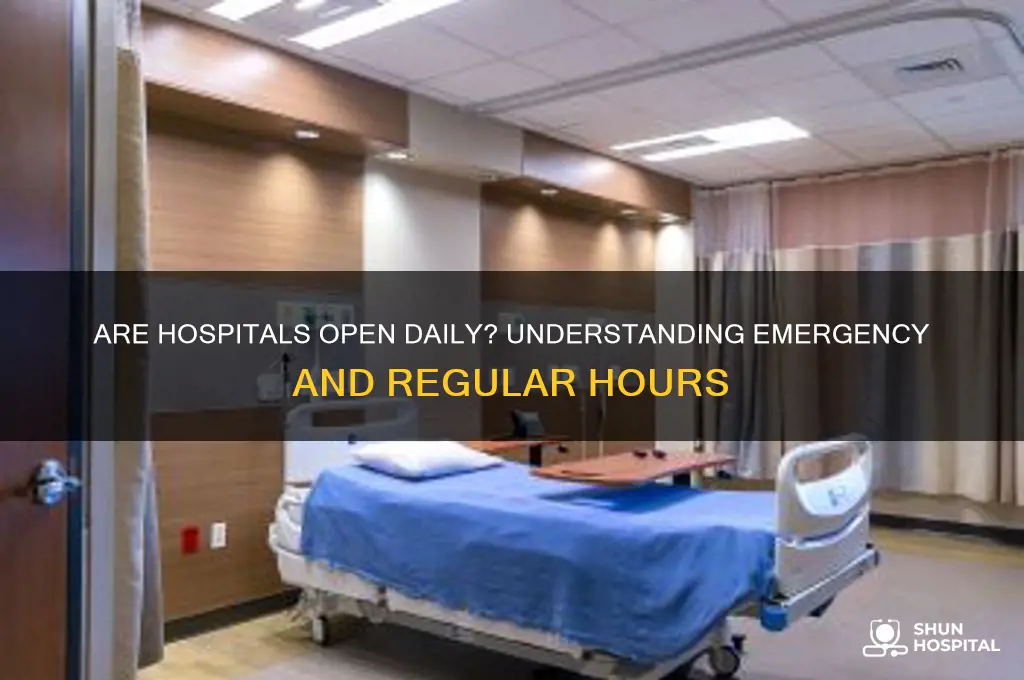 is hospital open everyday