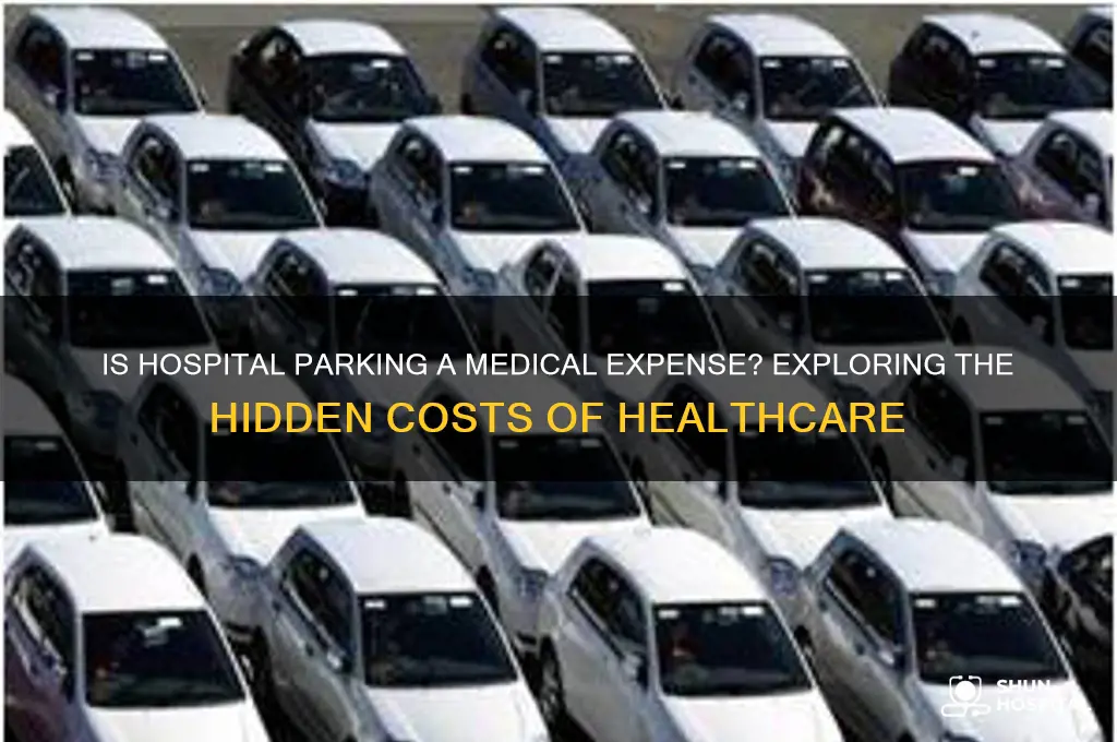 is hospital parking medical expense