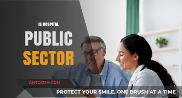 Are Hospitals Public Sector? Understanding Ownership and Healthcare Systems