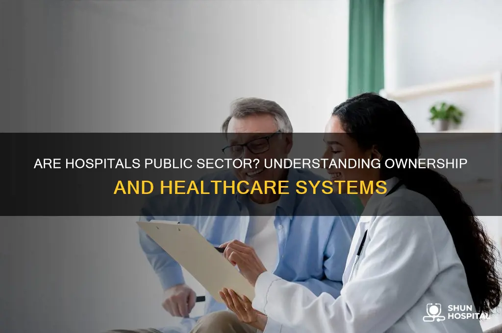 is hospital public sector