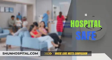 Are Hospitals Truly Safe? Exploring Patient Care and Security Concerns