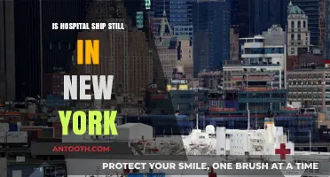 Hospital Ship in New York: A Permanent Fixture?