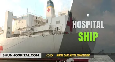 Exploring the Role and Impact of Hospital Ships in Global Healthcare
