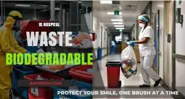 Is Hospital Waste Biodegradable? Exploring Medical Disposal and Environmental Impact