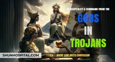 Divine Hospitality: Trojan Gods' Command or Cultural Tradition?