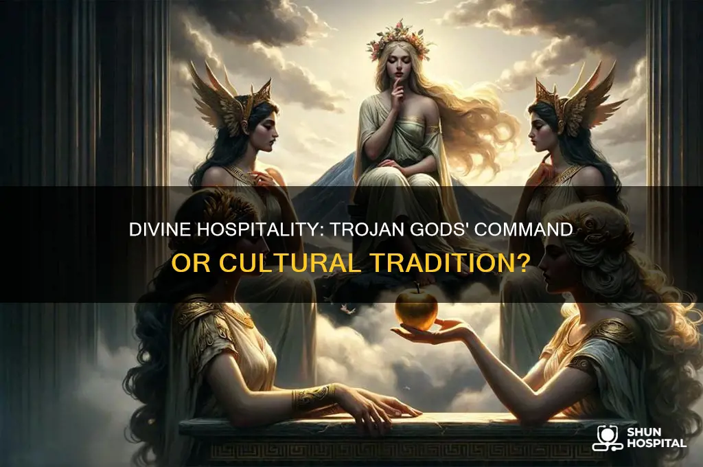 is hospitality a command from the gods in trojans