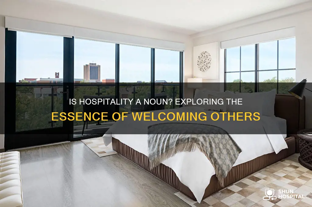 is hospitality a noun