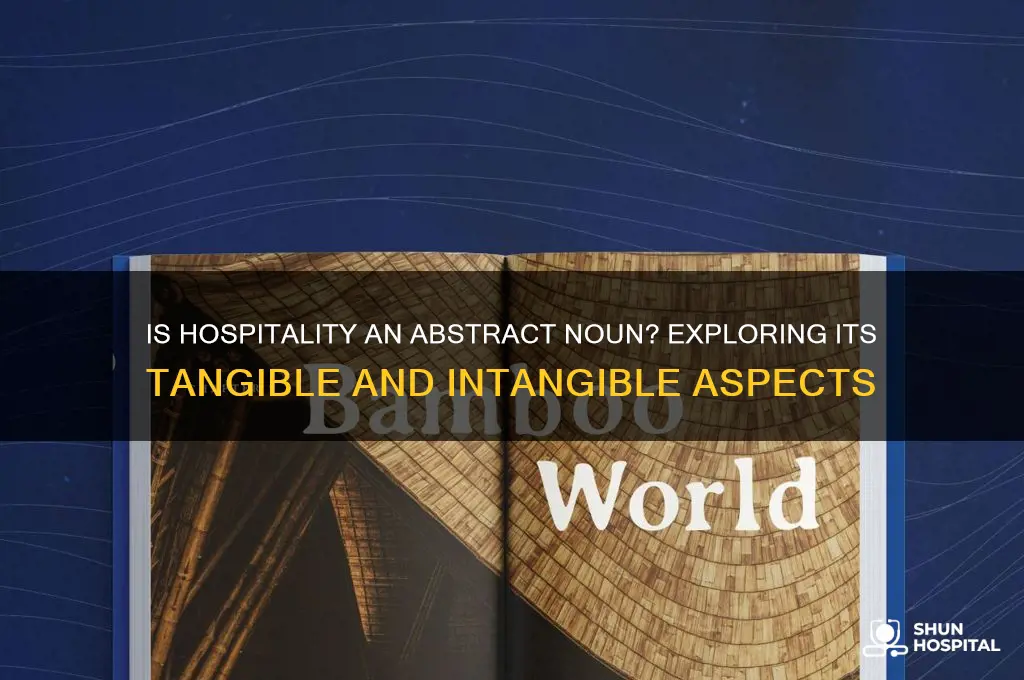 is hospitality an abstract noun