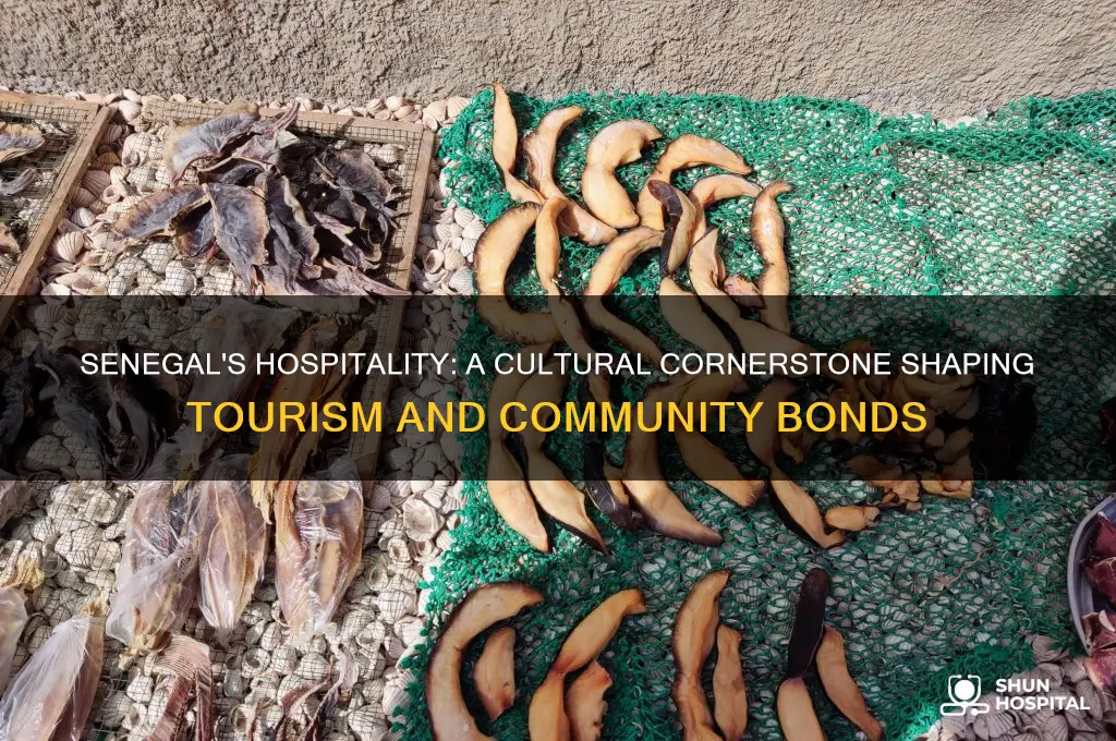 is hospitality important in senegal