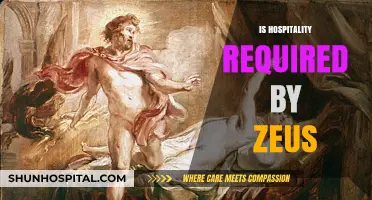 Zeus and Hospitality: Ancient Greek Expectations of Divine Reciprocity
