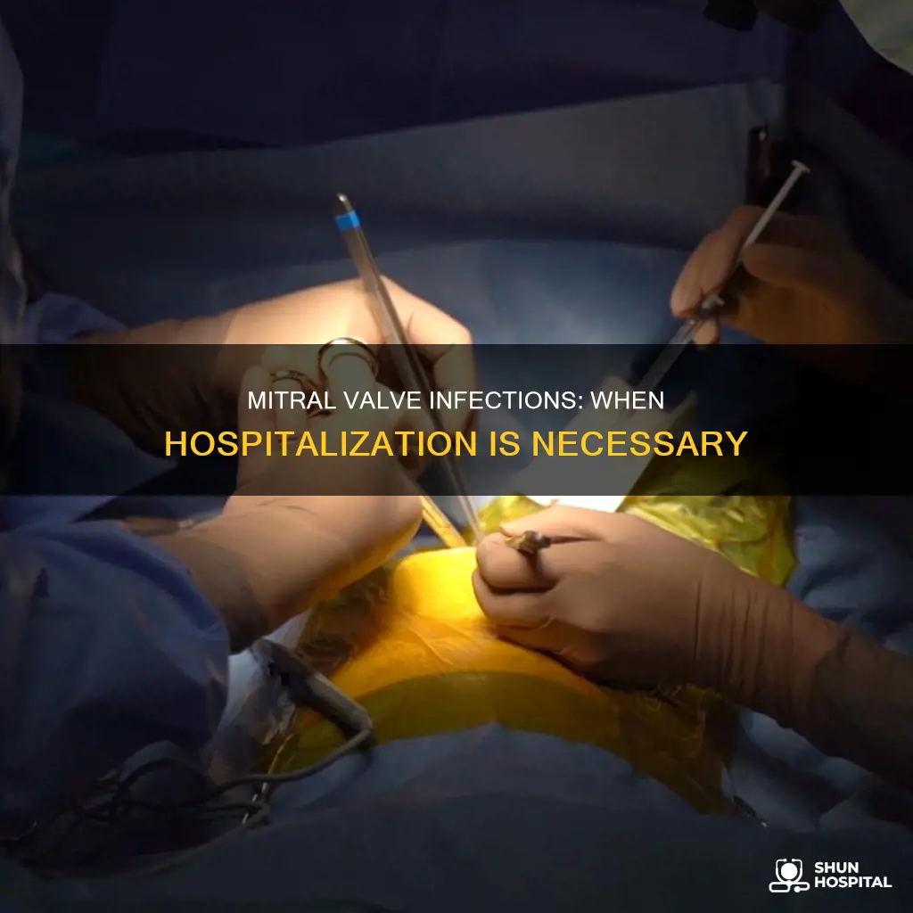 is hospitalization required for mitral valve infections