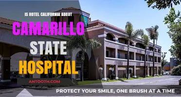 Hotel California: Exploring the Camarillo State Hospital Connection
