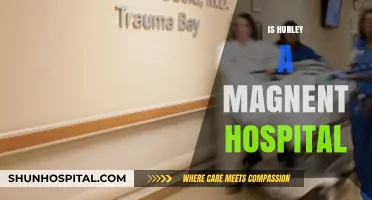 Is Hurley a Magnet Hospital? Exploring Recognition and Nursing Excellence